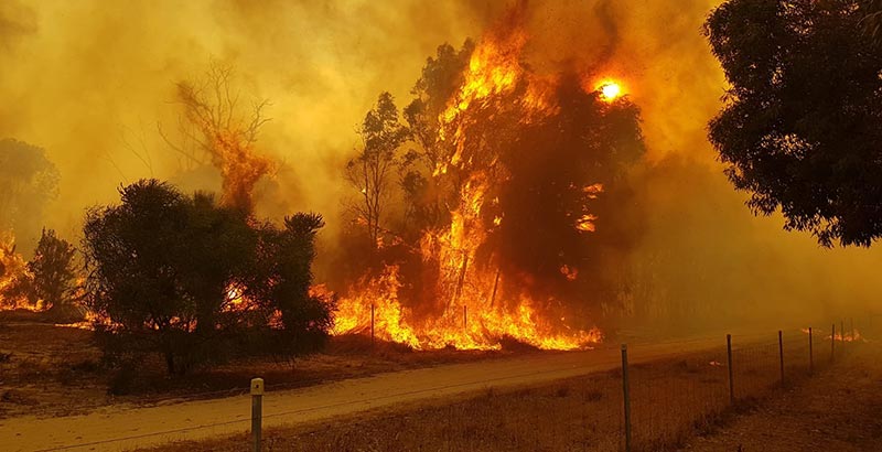 bushfire ready